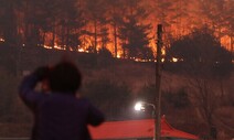 “차라리 타게 놔두지”…재난 ‘보상’이 부르는 2차 피해