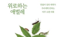 순간순간을 진실되게 살면 된다, 애벌레처럼 [책&amp;생각]