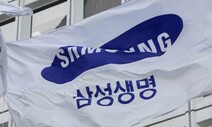 새 회계제도 도입에도…삼성생명 ‘삼전지분’ 그대로 안고 간다