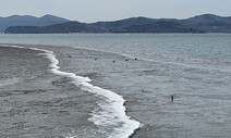 매립 위기 몰렸던 영종 갯벌, ‘세계자연유산 등재’ 나선다