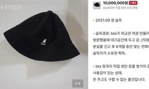‘BTS 정국 모자’ 팔려던 전 외교부 직원 약식기소…혐의는 횡령
