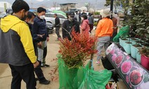 옥천 묘목 축제, 4년 만에 열린다…2만 그루 증정 등 행사