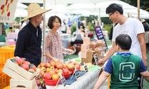 눈 맞고 자란 달래·냉이 꾸러미…‘당장’에 가면 당장 단골 될걸