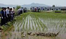 식재료비 지출 줄고 급식 수요도 줄고…유기농의 ‘깊은 시름’