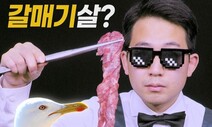 [영상:THISCovery] 가브리살? 갈매기살?…유래가 뭐길래