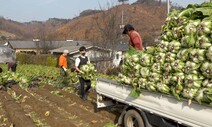 일손부족 해갈, 지자체가 마중물 붓는다…중기·농가에 임금지원