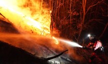 합천 산불 20시간 만에 진화…“축구장 220여개 면적 불타”