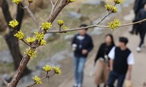 뛰어오던 봄, 잠시 숨고르기…주말 비온 뒤 추워져요 [포토]