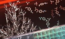 KAIST 연구팀, ‘고분자 보호막’ 적용 리튬전지 수명 6배 연장