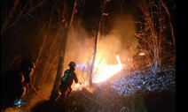 화천 산불 18시간 만에 주불 진화…축구장 95배 면적 소실