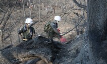 인왕산 산불 25시간 만에 완진…축구장 20개 면적 불타