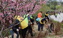 식목일 앞두고 도심 숲 조성 [포토]