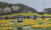 일요일, 흐리고 가끔 비…돌풍 불거나 싸락우박 내릴 수도