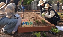 “식물도 동반자 있대요”…생태텃밭서 건강한 마음 키우는 청년들