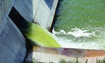 “영주댐 녹조 해결책은 수문 완전 개방…엽록소 농도 절반 줄어”