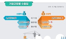 최근 5년 ‘수입 기업수’ 지속 증가 추세…수출기업은 정체