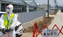 구제역 백신 ‘항체 양성률’ 기준 밑돈 농가 19곳에 과태료