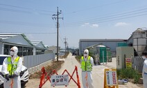 청주·증평 구제역 이르면 다음주 종식…“백신이 막았다”