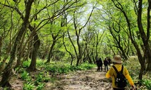 곶자왈 보호 조례개정안 ‘심사보류’…“제주특별법 위임범위 벗어나”