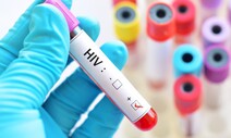 지난해 HIV 신규감염 1066명…검사량 늘며 전년보다 9% 증가