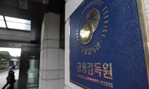 “금감원 탓에 상장 일정 미뤄져” 불만…7일 안에 집중심사키로