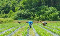 보은 계절노동자 또 이탈…“농한기엔 도시·산업 현장으로”