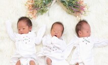 ‘다둥이 가정 많아유’…충남 예산 올 상반기 147명 출생