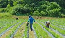 베트남 계절노동자 잇단 이탈에 보은군 “전원 출국 조처” 강수