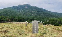 동학군 묘지 1700기에 맺힌 사연…‘세월은 흘러가도 산천은 안다’