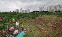 김건희 일가 땅, 양평 말고도 동해·당진…이해충돌 ‘지뢰밭’