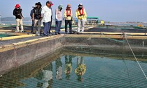 충남 폭염 피해 속출…물 뿌리고 양식장 점검하며 대응 나서