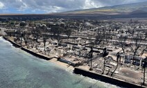 하와이 ‘최악 산불’ 생존자에…“집 팔아라” 투기꾼들 전화 쇄도