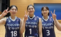 여자배구 ‘도공’ 신입생 3인방…박정아·정대영 빈자리 채울까