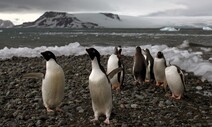 “남극기온 오르는 속도, 예측보다 2배 빨라…해수면 상승도 우려”