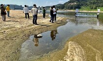 “축제 위해 공주보 담수라니…금모래밭은 진흙뻘로 변할 것”