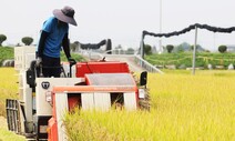 R&amp;D 예산 삭감에 식량자급률 통계도 작성 중단 위기