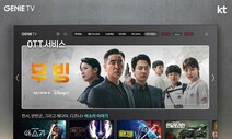 KT “OTT 품은 뒤 TV 이용자 수 두배 증가”