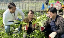 군청이 수수료 없이 대신 판매…“상추로 500만원 더 벌었어요”