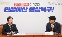 ‘위성정당·병립형’ 꺼낸 이재명에…당내 “대참변·통탄” 격앙