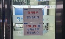 ‘돈 부른다’ 속설에 은행마다 달력 대란…중고플랫폼 사고팔고