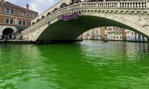 형광 초록으로 또 물든 베네치아…이탈리아 곳곳서 기후 시위