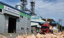 광주시, 우리 밀 재배면적 3위…우수 생산단지 7개소 선정