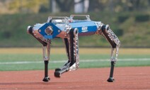 [영상] 카이스트 로봇개, 100m 달리기 세계신기록…몇 초 걸렸길래