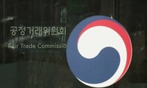 지주회사 체제 밖 ‘총수일가 지배 계열사’ 226개