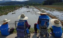 “저 옥천으로 가요”…괜찮은 귀촌 일자리까지, 운이 좋았다