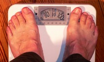 “비만이 임자 만났다”…비만 치료제, 올해 최고 과학 성과에