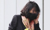 ‘경기도 법카 유용 의혹’ 핵심 피고인, 항소심도 징역 1년 구형