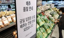 배추 한 포기 ‘1만원’ 코앞…태풍 힌남노 때 가격 넘어설까