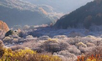 겨울 시작되는 ‘입동’…일교차 15도 내외로 커