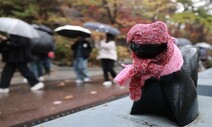 10도 훅 떨어뜨린 가을비…강원·경북엔 눈 내릴 수도